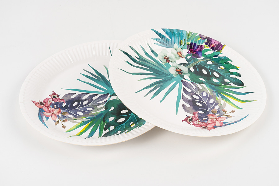 Standard Round Paper Plates Standard Round Paper Plates